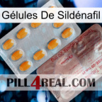 Gélules De Sildénafil new13